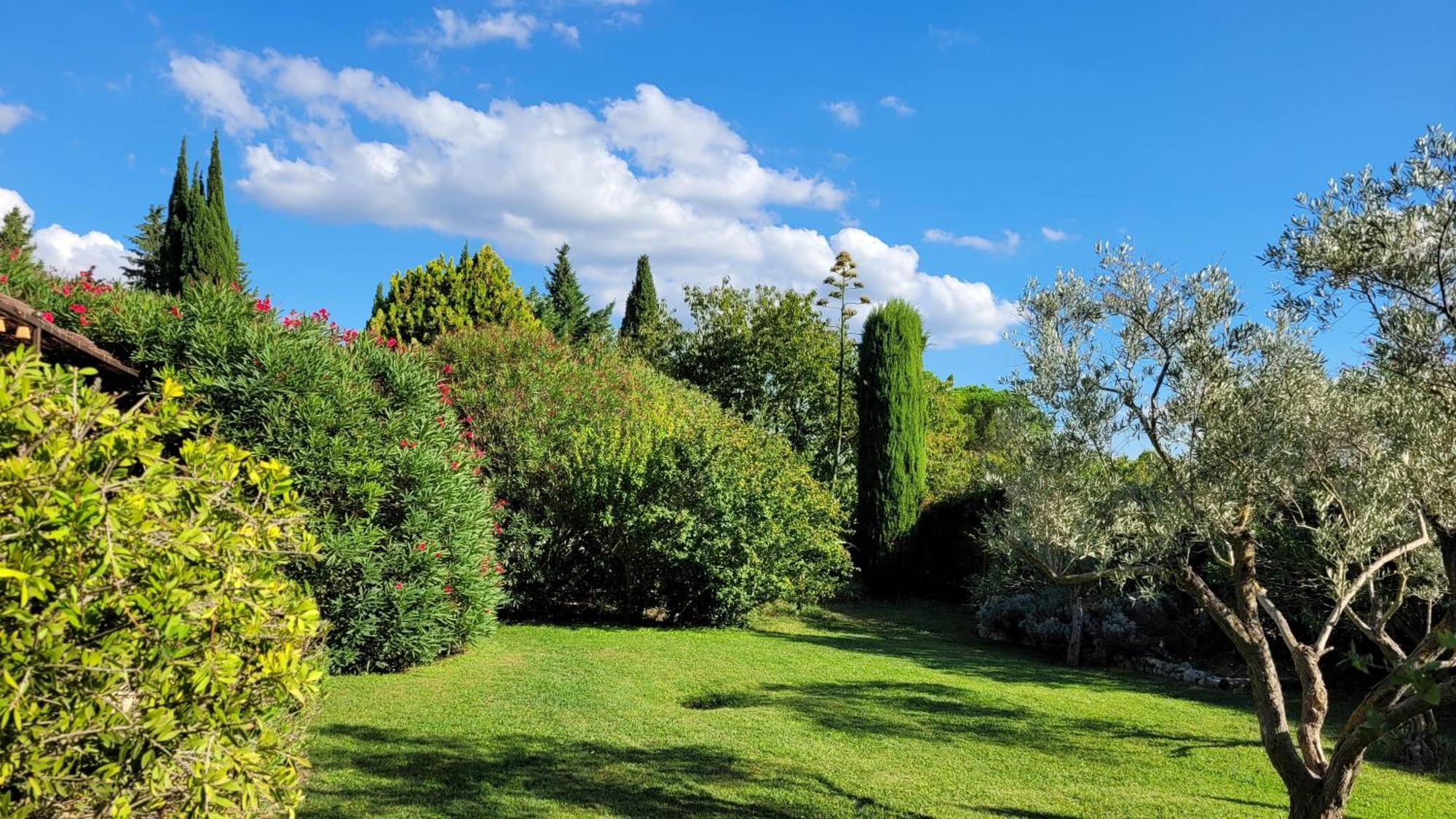 Bed and Breakfast Mas des Marguerites Maussane-les-Alpilles Exterior foto